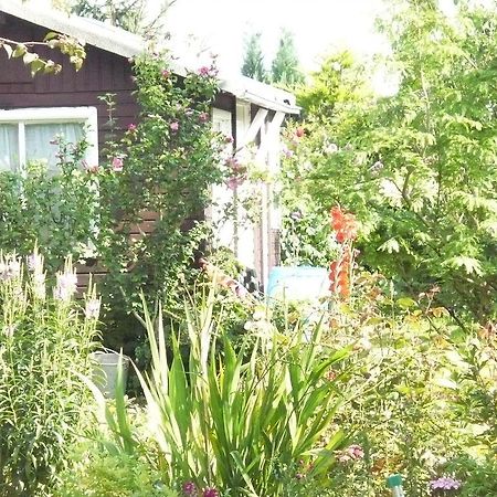 Wohnen Bei Gabi Appartement Walkendorf Kamer foto